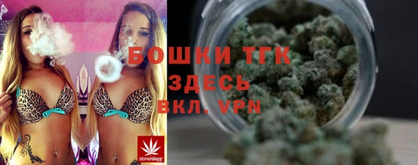 прущая мука Дмитриев