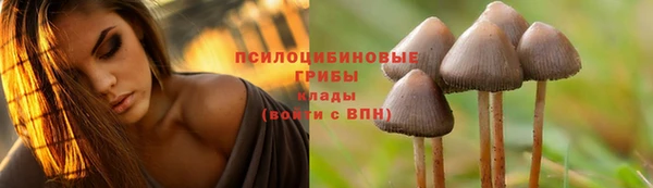 прущая мука Дмитриев