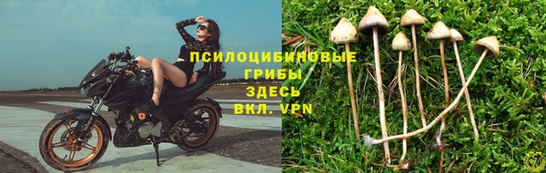 марки lsd Дмитров