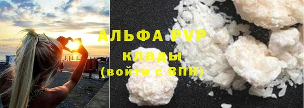 прущая мука Дмитриев