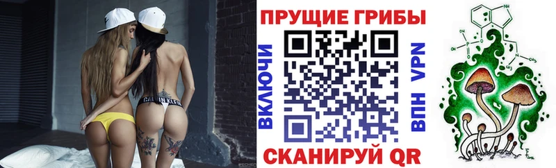Псилоцибиновые грибы GOLDEN TEACHER  Чулым 